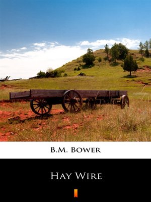 cover image of Hay Wire